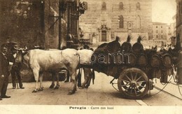 ** T1 Perugia, Carro Con Buoi / Ox Cart - Other & Unclassified