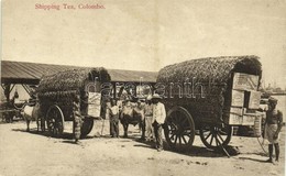 ** T1 Colombo, Shipping Tea, Natives With Ox Carts, Folklore - Other & Unclassified