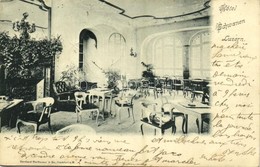 T2 1899 Lucerne, Luzern; Hotel Schwanen / Hotel, Interior - Other & Unclassified