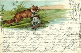 T2/T3 1899 Fuchs (Canis Vulpes) / Fox. Verl. V. O. Schulte No. 7. Litho (EB) - Unclassified