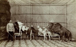 ** T1 Carl Feldmann Dompteur / Circus Animal Trainer. Photo - Sin Clasificación