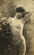 ** T3/T4 Erotic Nude Lady. Made In France, A. Noyer 4522. (pinholes) - Unclassified