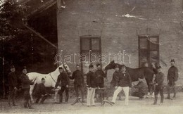 ** T2/T3 Osztrák-magyar Lópatkoló Katonák / K.u.K. (Austro-Hungarian) Soldiers Horseshoeing. Photo (felszíni Sérülés / S - Unclassified