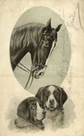 T2/T3 1910 Dogs With Horse. Mary Mill Nr. 1507. (fa) - Sin Clasificación