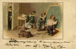 * T2 Cat School. Litho - Ohne Zuordnung