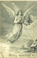 T3 1901 'Boldog Karácsonyt', üdvözlőlap / Angel With Christmas Tree, Star, Winter, Christmas Greeting Card, Litho (apró  - Ohne Zuordnung