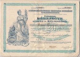 1927. 'Hódmezővásárhelyi Gazdasági Egyesület Hitelszövetkezete' Részjegye 20P-ről, Szelvényekkel, Szárazpecséttel T:III - Sin Clasificación