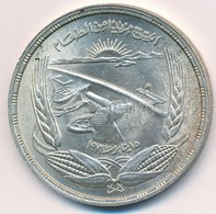Egyiptom 1973. 1Ł Ag 'Asszuáni-gát' T:1- Kis Patina
Egypt 1973. 1 Pound Ag 'Aswan Dam' C:AU Small Patina
Krause KM#415 - Unclassified