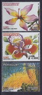 Paraguay 2019 Flora Flowers Orchids 3v MNH - Orchidee