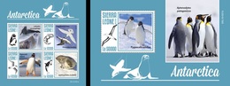 Sierra Leone 2019, Antartic Animals, Penguins, Birds, 4val In BF +BF - Faune Antarctique