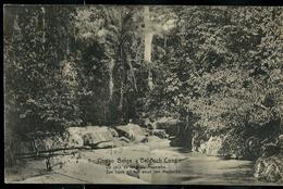 Carte N° 53. Vue 9. Un Coin De Forêt  Du Mayumba (carte Neuve) - Entiers Postaux