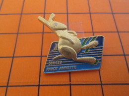 Delcampe - 819 Pin's Pins / BEAU ET RARE / Thème BANQUES : LA CARTE KANGOUROU DE PAVOT ANNETTE ! Stupéfiant !!! - Banques