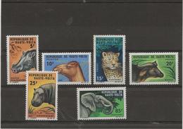 HAUTE - VOLTA -  N° 148 A 153 - ANIMAUX - NEUF INFIME CHARNIERE- ANNEE 1966 - Haute-Volta (1958-1984)