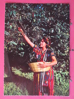Visuel Très Peu Courant - Guatemala - Indigena Cortando Café - Scans Recto Verso - Guatemala