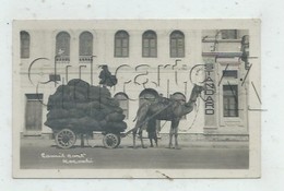 Delcampe - Karachi (Pakistan) : Camel Cars En 1945 (animé)  PF. - Pakistan