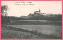 Mont De La Trinité - Panorama - Restaurant " A La Belle Vue " A. DEBUNE OVAERT - Edit. WILHELM HOFFMANN - Doornik