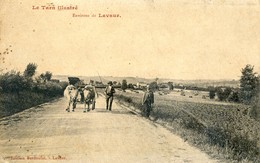 81 - Environs De Lavaur - Attelage De Vaches - Lavaur