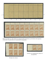 ARGENTINA: GJ.1033, 5c. José Hernández, Study Of The Issue On 3 Exhibition Pages, Including Varieties For Examples Marks - Ungebraucht