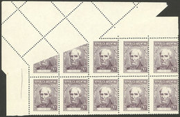 ARGENTINA: GJ.1038, 20c. Brown, Corner Block Of 10 With Notable Printing And Perforation Variety Due To Foldover, Leavin - Ungebraucht
