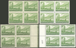 ARGENTINA: GJ.1054 + 1054A + 1054B, 10P. Humahuaca (cactus), Blocks Of 4 On Chalky Paper And National Unsurfaced Paper,  - Neufs