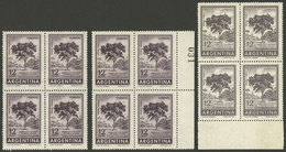 ARGENTINA: GJ.1143 + 1144, 12P. Quebracho Tree Photogravure (on 2 Different Papers) + Offset, Blocks Of 4 Of Very Fine Q - Neufs