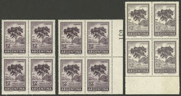 ARGENTINA: GJ.1143 + 1144, 12P. Quebracho Tree Photogravure (on 2 Different Papers) + Offset, Blocks Of 4 Of Very Fine Q - Unused Stamps