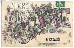 Merci De Votre Jolie Carte De CADALEN - Cadalen