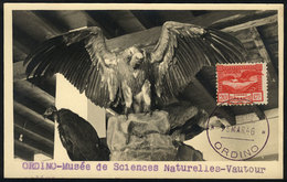 SPANISH ANDORRA: Maximum Card Of 23/MAR/1946: EAGLE, With Cancel Of Ordino, VF Quality - Autres & Non Classés