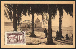 ALGERIA: TOUGGOURT: Tombs Of The Kings, Maximum Card Of 9/JUN/1953, VF Quality - Cartoline Maximum