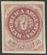 ARGENTINA: GJ.10B, 5c. Bright Carminish Rose, Mint, Very Wide Margins, With Variety "spot Over The C Of CENTAVOS" And Sm - Sonstige & Ohne Zuordnung