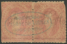 ARGENTINA: GJ.20g+j, Pair Of 3rd Printing With Varieties: Thin Paper (90 Microns) And Mulatto, Both With Line Watermark  - Autres & Non Classés