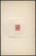 ARGENTINA: Year 1889, Sudamericana Issue, Die Proof Of An UNISSUED Value Of 20c. Roca In Carminish Red, 13 X 20.50 Cm, V - Otros & Sin Clasificación