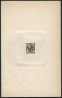 ARGENTINA: Year 1889, Sudamericana Issue, Die Proof Of An UNISSUED Value Of 20c. Roca In Grayish Black, 13 X 20.50 Cm, V - Autres & Non Classés