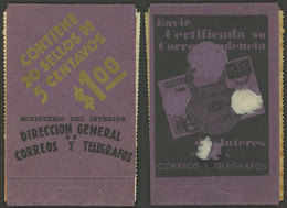 ARGENTINA: Booklet GJ.795A-A3-V, Complete With All Its Inner Panes But Without The Staple, Some Stain Spots And With Sma - Autres & Non Classés