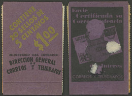 ARGENTINA: Booklet GJ.795A-A3-V, Complete With All Its Inner Panes But Without The Staple, Some Stain Spots And With Sma - Other & Unclassified