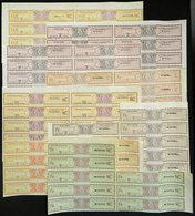 ARGENTINA: WINE: 8 Parts Of Different Sheets Of Revenue Stamps For Demijohns, All With MUESTRA Overprint, 73 Stamps In T - Other & Unclassified