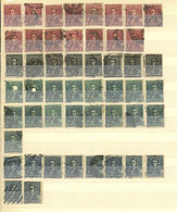 ARGENTINA: Large Stockbook With MANY HUNDREDS Of Used Stamps Of The Issues "Rivadavia Belgrano & San Martín" And "San Ma - Collections, Lots & Series