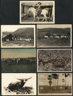 BRAZIL: AGRICULTURE, CATTLE, COUNTRYSIDE: Lot Of 7 Old PCs With Varied Views, All Unused, Fine To VF Quality - Sonstige & Ohne Zuordnung