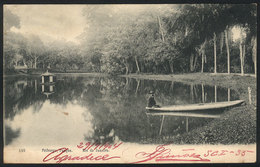 BRAZIL: RIO DE JANEIRO: Friburgo, Park, Ed.Ribeiro, Used In 1904, VF! - Sonstige & Ohne Zuordnung