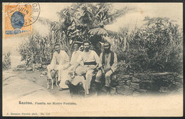 BRAZIL: SANTOS: Family With Dogs At Morro Fontana, Editor J.Marques Pereira, Sent To Niteroi On 5/JUN/1906, VF Quality - Autres & Non Classés