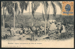 BRAZIL: SANTOS: Itapera, Men Carrying Baskets Of Mango Leaves, Editor J.Marques Pereira, Sent To Niteroi On 5/JUN/1906,  - Sonstige & Ohne Zuordnung