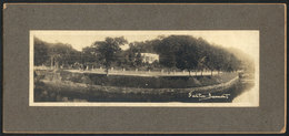 BRAZIL: Photograph, View Probably Of The Botanical Garden In Rio De Janeiro, Size 185 X 57 Mm, Mounted On Card, With The - Unclassified