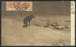 RUSSIA: Landscape, Dog In The Snow, PC Used In 1908, Fine Quality! - Rusia