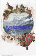 125059 SWITZERLAND WENGERNALP SCHEIDEGG ART EMBOSSED VIEW PARTIAL & HERALDRY POSTAL POSTCARD - Egg