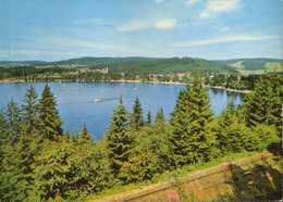 Germany- Postcard Unused -  Titisee / High Black Forest - Hochschwarzwald