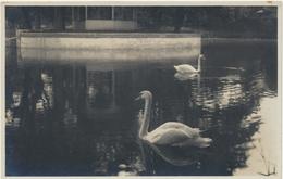 Delcampe - 80-518 Estonia Tallinn Reval - Estland