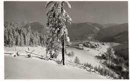 WINTERSPORTPLATZ PUCHENSTUBEN-REAL PHOTO - Scheibbs