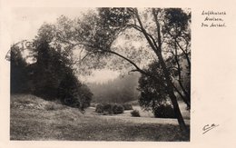 LUFTKURORT AROLSEN IM ARTAL-REAL PHOTO-1942 - Bad Arolsen