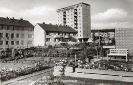 HELMSTEDT-MASCHSIEDLUNG MIT HOCHHAUS-REAL PHOTO-1962 - Helmstedt