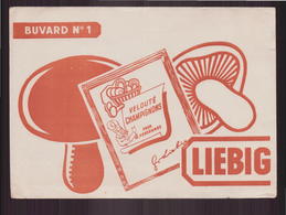 Buvard ( 20 X 14.5 Cm ) " Liebig " ( Pliures, Déchirure  ) - Potages & Sauces